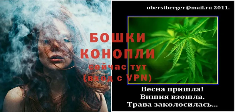 мориарти Telegram  kraken зеркало  Клинцы  Бошки марихуана Bruce Banner 